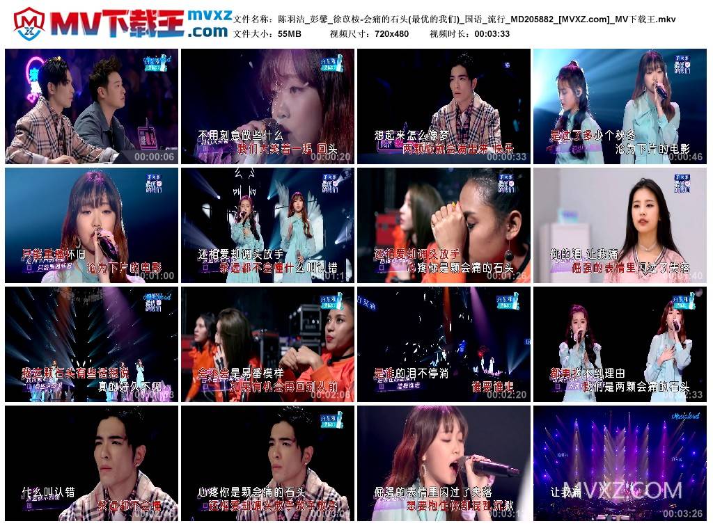 陈羽洁_彭馨_徐苡桉-会痛的石头(最优的我们)_国语_流行_MD205882